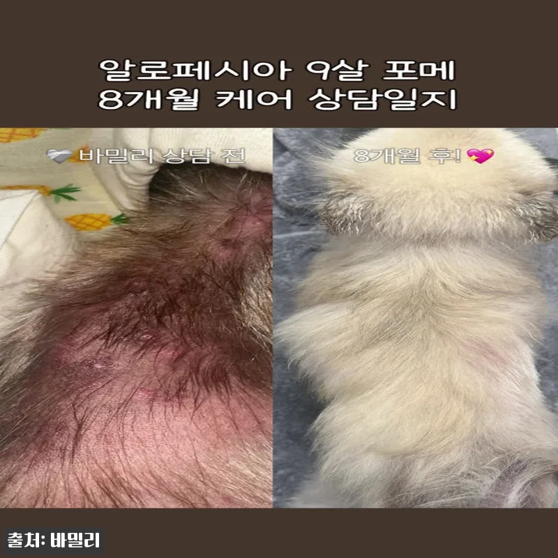 바밀리 알로페시아 케어라인, 급한 변 관련 이미지 1