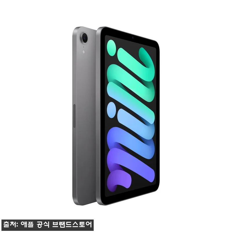 애플 아이패드 미니 7세대 WiFi 256GB 스페이스그레이, 공식 브랜드스토어 할인 확인 후기 11 애플 아이패드 미니 7세대 WiFi 관련 이미지 1