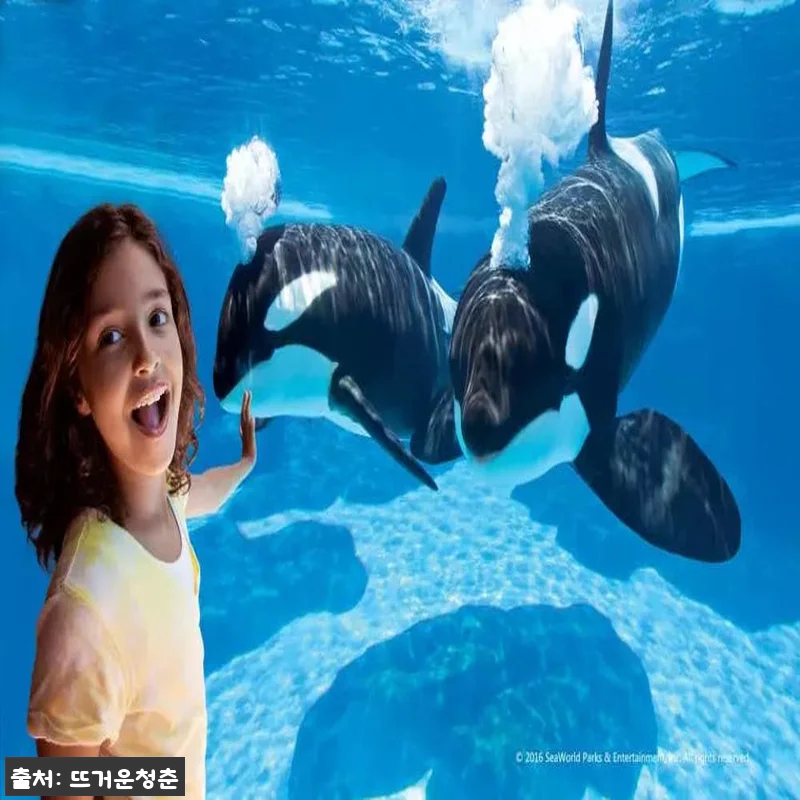 샌디에고 씨월드 SeaWorld Sa 관련 이미지 2