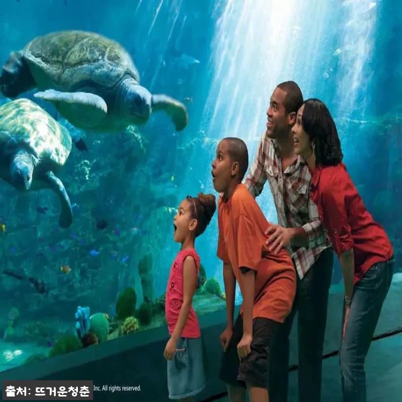 샌디에고 씨월드 SeaWorld Sa 관련 이미지 3