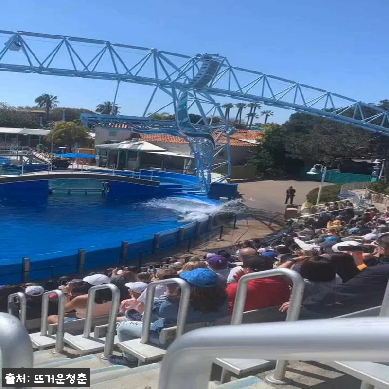 샌디에고 씨월드 SeaWorld Sa 관련 이미지 4