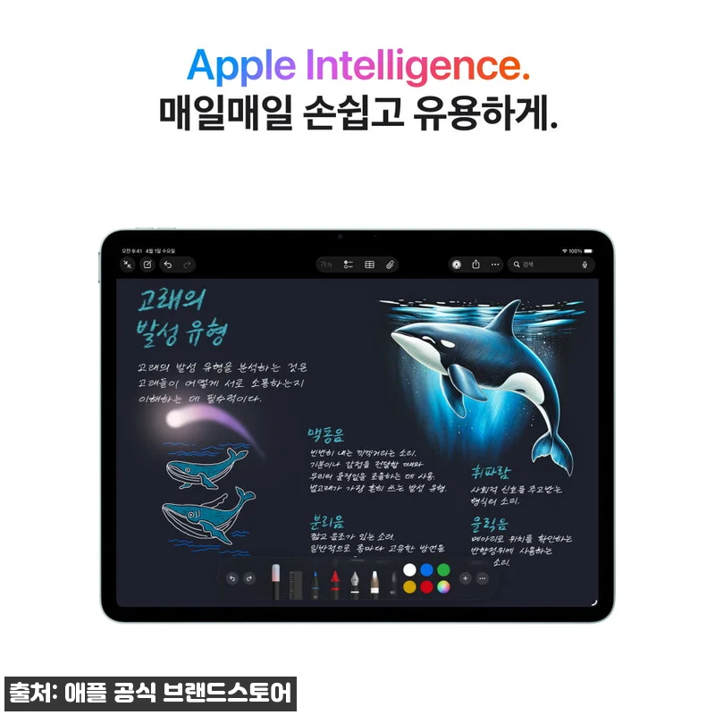 애플 아이패드 에어 13 M4 WiF 관련 이미지 4