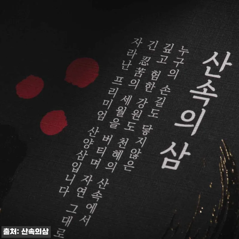 국내산 6년근 프리미엄 산양산삼 15 관련 이미지 4