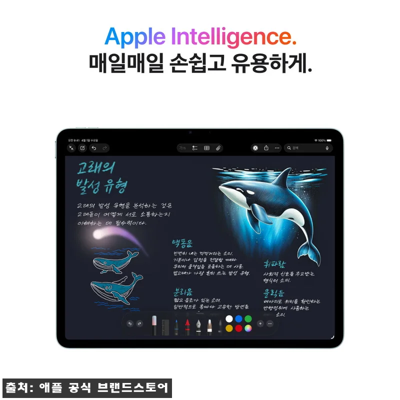 애플 아이패드 에어 13 M4 WiF 관련 이미지 4