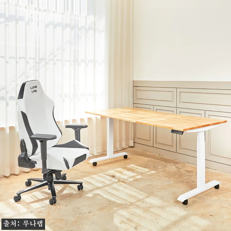 루나랩 원목 듀얼모터 전동 높이조절 책상 1200, 화이트 스트라이프 구매 전 꼭 볼 체크포인트 16 루나랩 원목 듀얼모터 전동 높이조절 관련 이미지 5