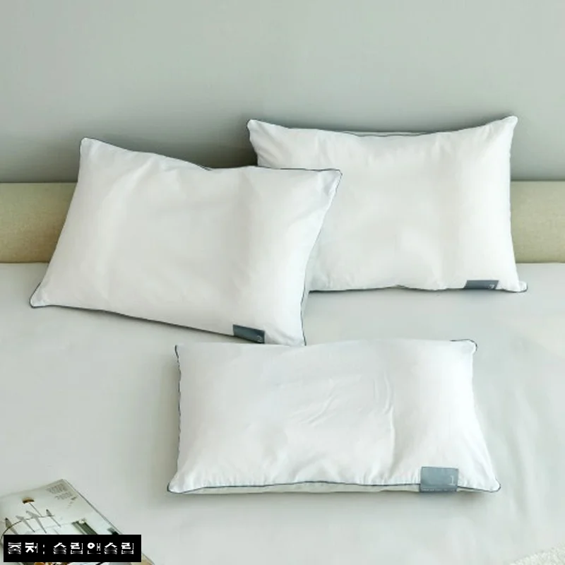 Home 78 슬립앤슬립 마스터유닛2 하드 높이조절 경추베개, 할인·적립까지 꼼꼼히 살핀 구매 전 후기