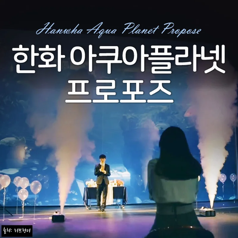 한화 아쿠아플라넷 프로포즈 전문가패키지, 영화 같은 순간을 준비할 때 체크한 예약 후기
